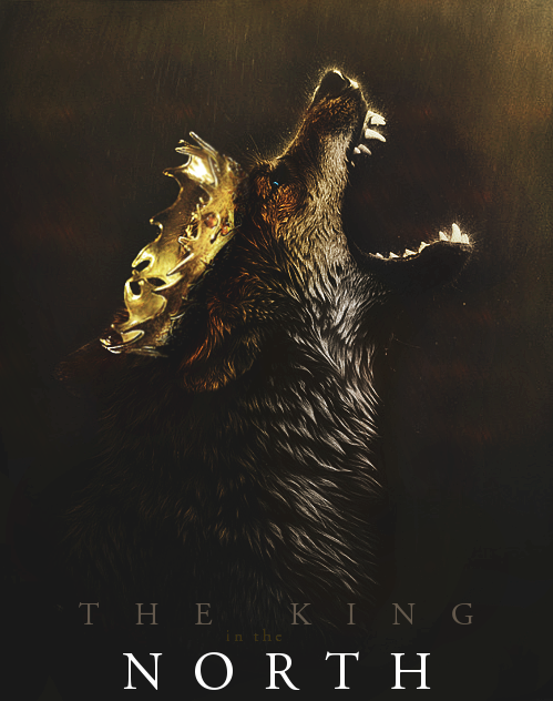 the-king-in-the-north-game-of-thrones-33810963-499-632